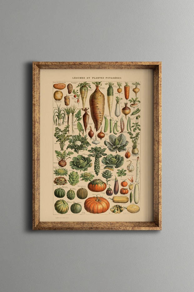 Botanical Vegetable Collection - Vintage Patterned Frame - Slim Model