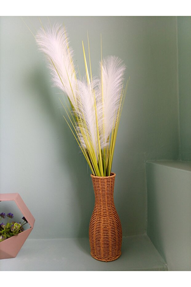Pampas renkli