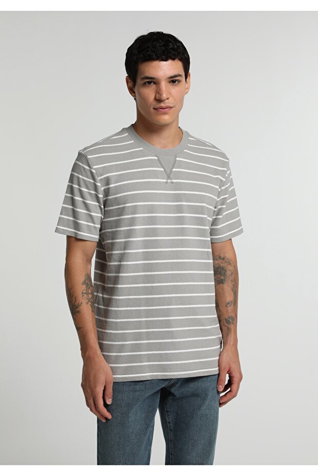 Regular Fit Round Neck Striped Men's Gray Short Sleeve T-Shirt