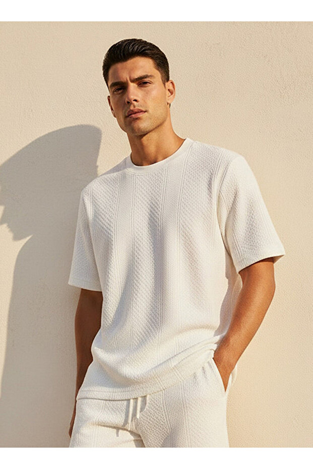 Men Regular Fit Crew Neck Short Sleeves Textured T-shirt
