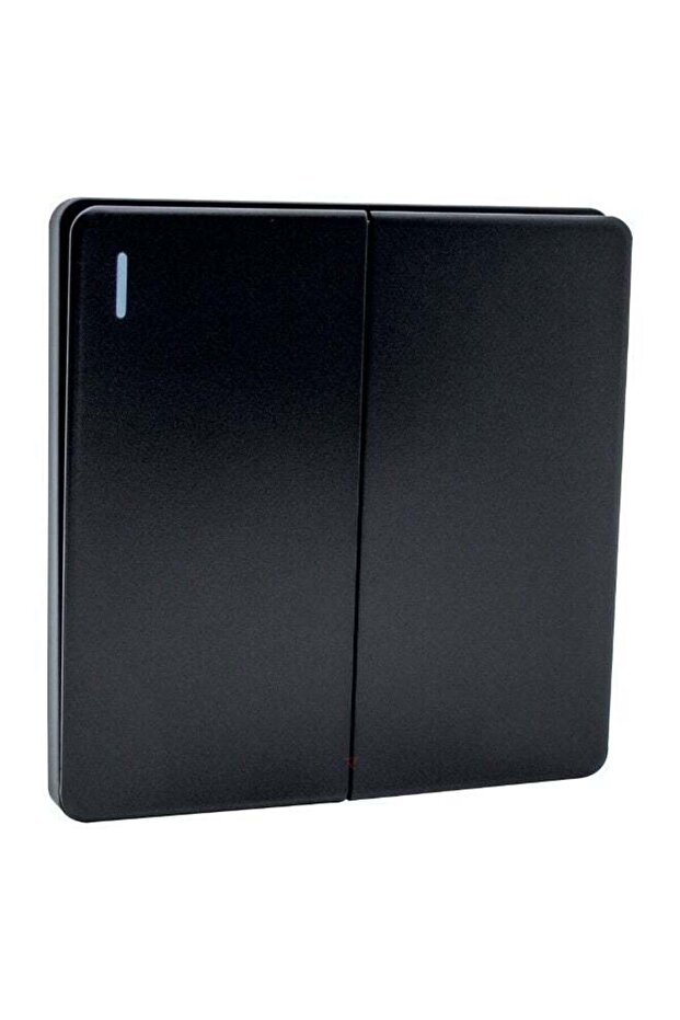 Double Rocker Light Switch, Black, 2 Gang, Wall Mounted, Modern Design with LED Indicator (Black)