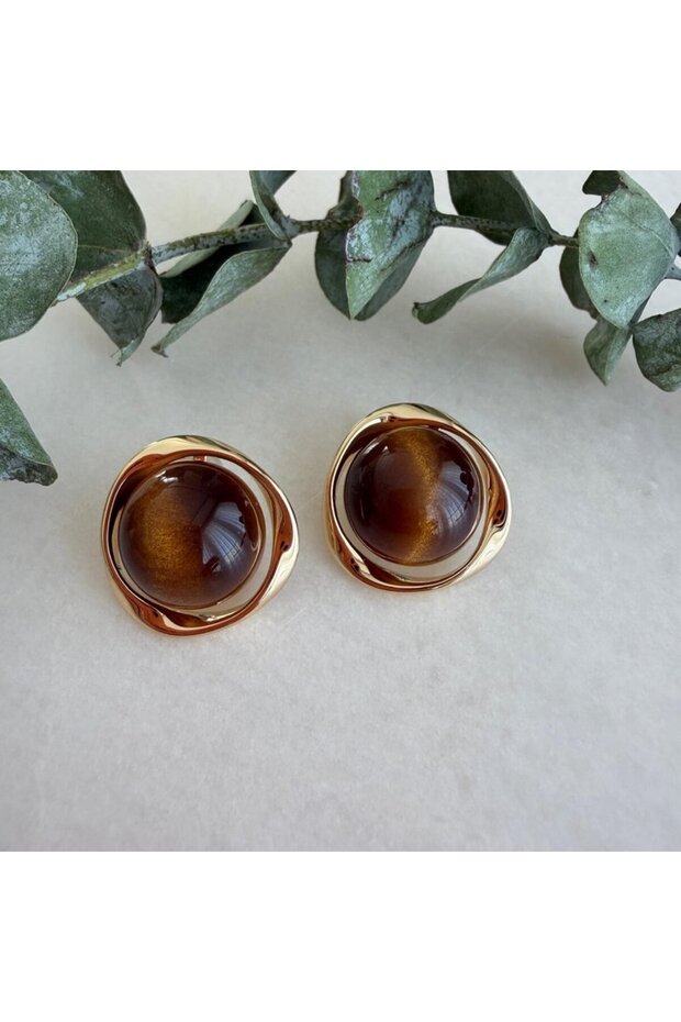 Tiger's Eye Stone Earrings