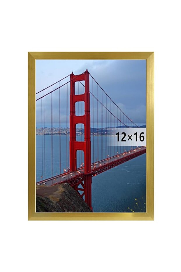 BESCRCL 12x16 Frame Wall Hanging Picture Frames, Gold, 1 Pack