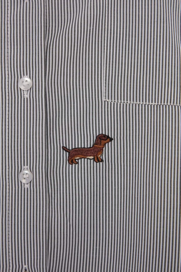 Ekru Çizgili Köpek Nakışlı Büyük Beden Dokuma Gömlek TBBSS26AX00009 - 7