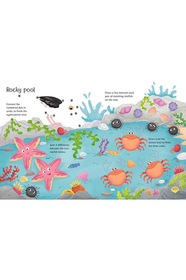Write and Erase - Wipe-Clean Seashore Activities - 2