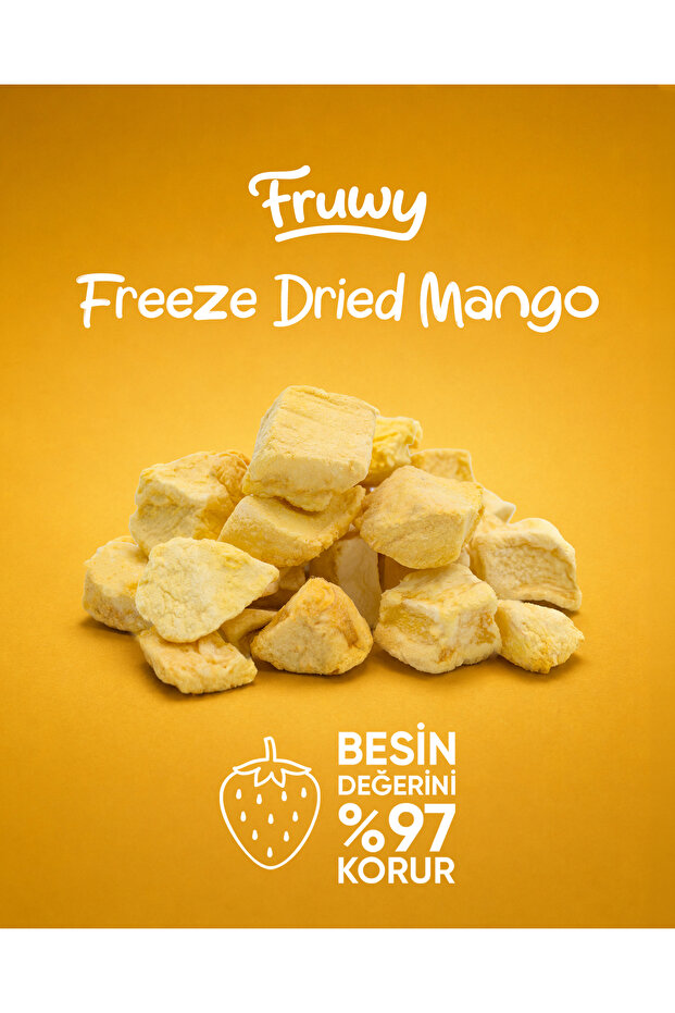 Freeze Dried Mango - 2