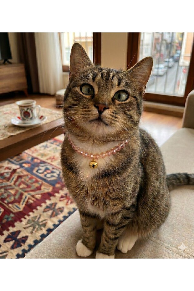 Adjustable Cat Collar with Bell - Colorful and Stylish Cat Collar