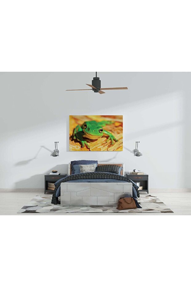Tablou Canvas - Broasca - 2