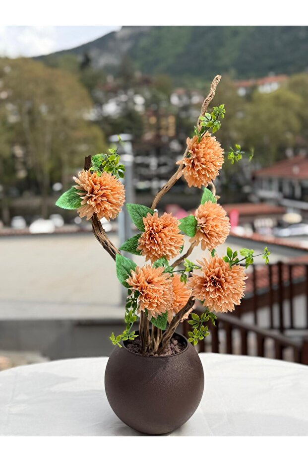 Bonsai Ağaç