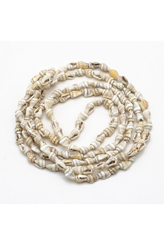 6x8mm-60cm D 6x8mm Tricolor Beaded Natural Shell Small Conch Pine Semi-finished Beads Jewelry Making