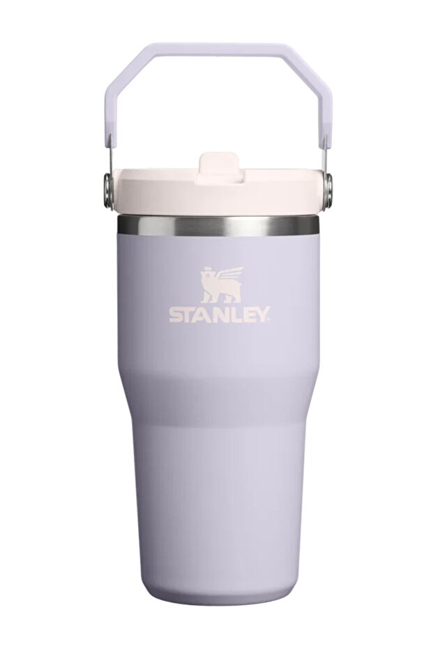 The iceflow flip straw 2.0 tumbler 0.60l colorful