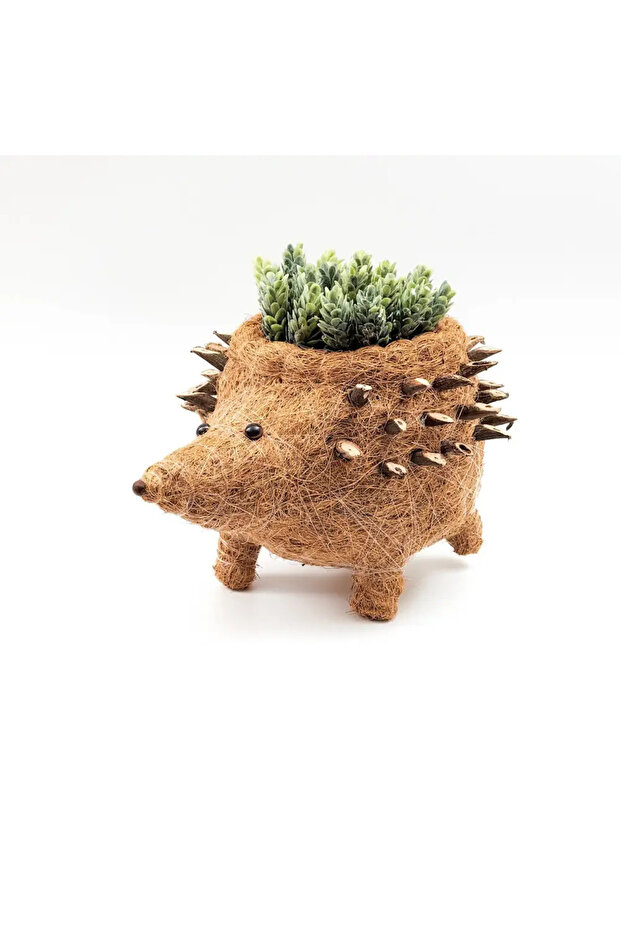 Hedgehog Planter