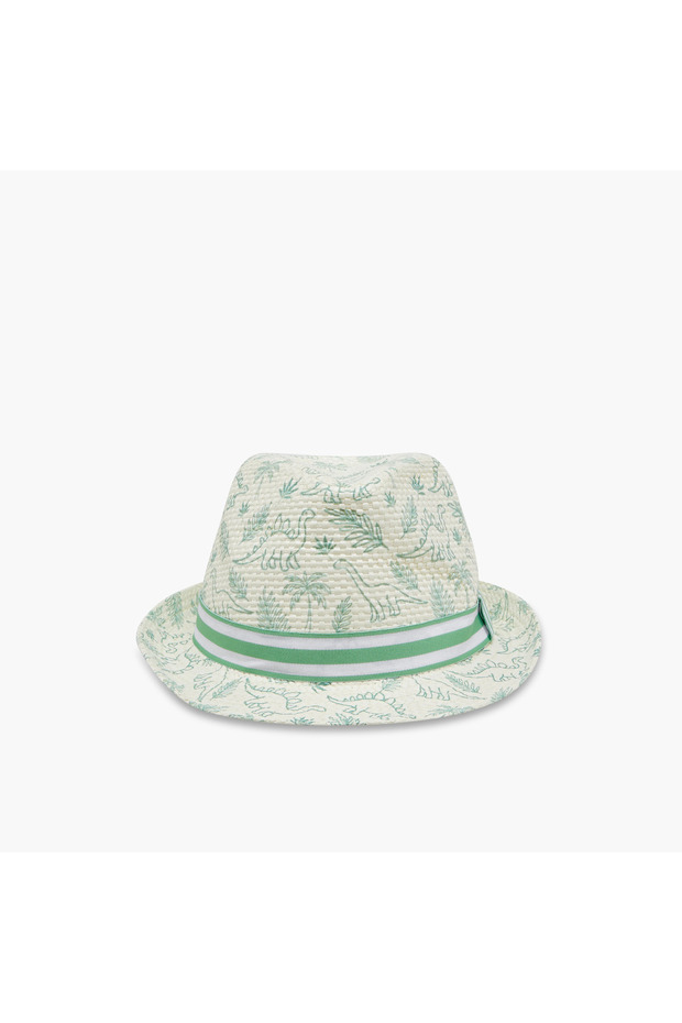 Hat with Dinosaur Print