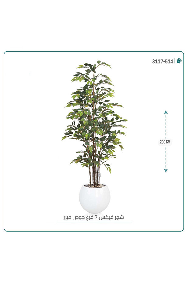 شجرة اوراق الفيكس الصناعية بحوض فيبر { ارتفاع 200 سم }