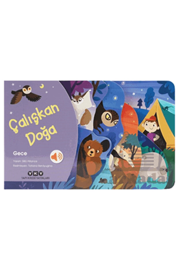 Çalışkan Doğa – Gece