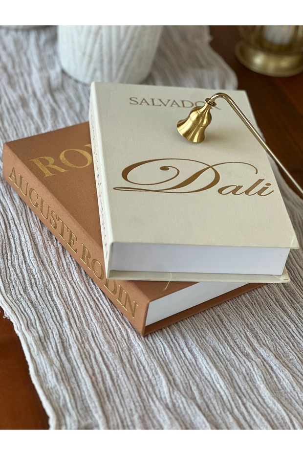 Fabric Decorative Book Box Set of 2 - Ro & Dal - Hidden Storage Box - Book-Looking Decor