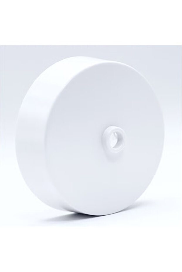Ceiling Rose Light Fitting, White Satin Moulded, 3” Diameter
