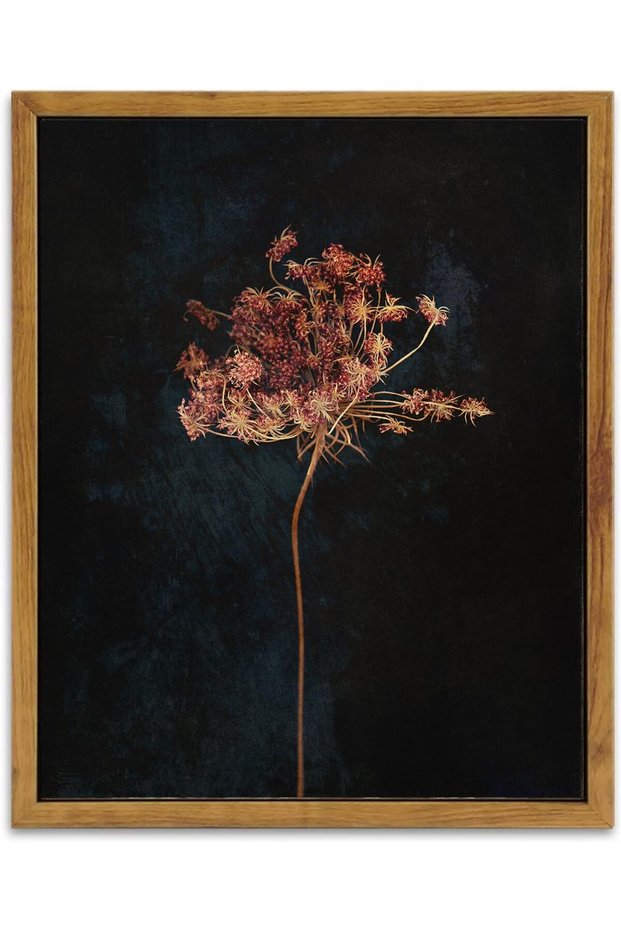 Vintage Moody Floral Botanical Canvas Wall Art Decor With Outer Frame (30x40 cm)