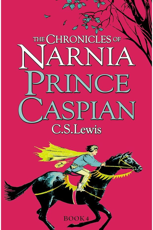 Narnia Single Asorted Book