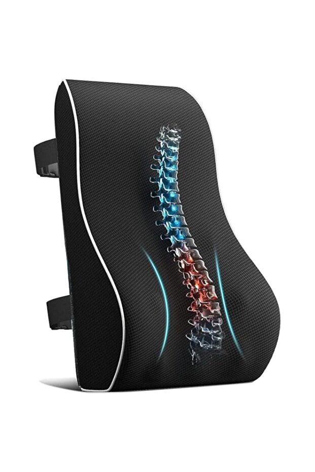 Premium Lumbar Support Pillow for Office Chair Memory Foam Back Cushion for Back Pain Relief Improve Posture Large Back Pillow for Car,Recliner Breathable Mesh Cover Double Adjustable Strap 42x33.5cm