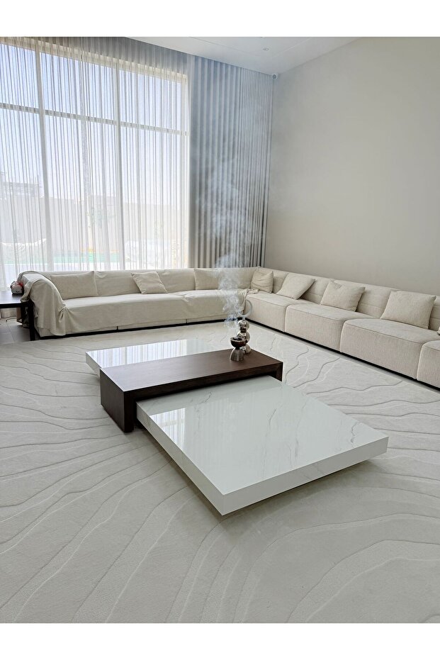 Elegant Coffee Table - 4