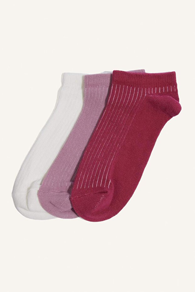Women's 3-Pack Cotton Booties Socks F5430Axns
