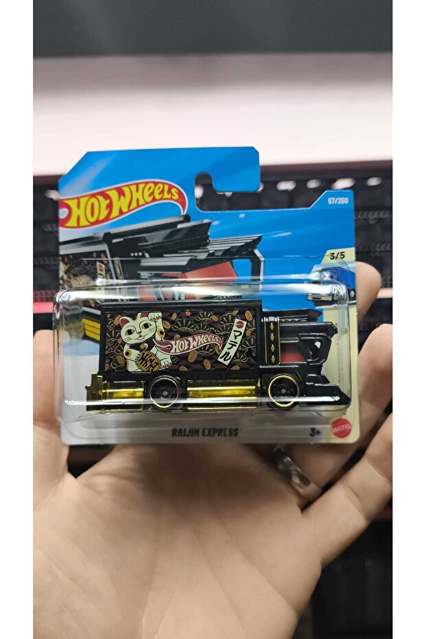 RAIJIN EXPRESS (H CASE)