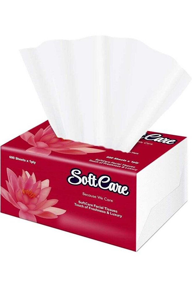 Facial Tissues - 1