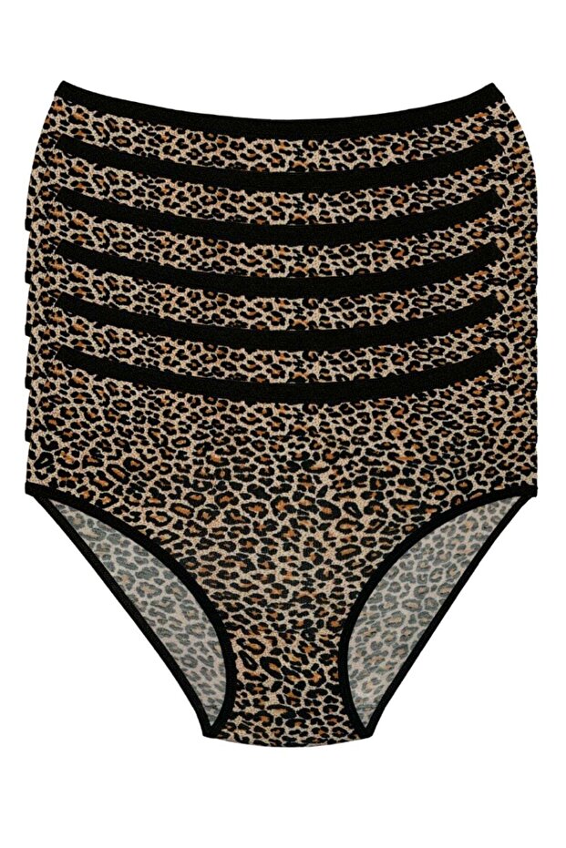 Lycra Leopard Pattern Bato Women's High Waist Panties 6 Pack