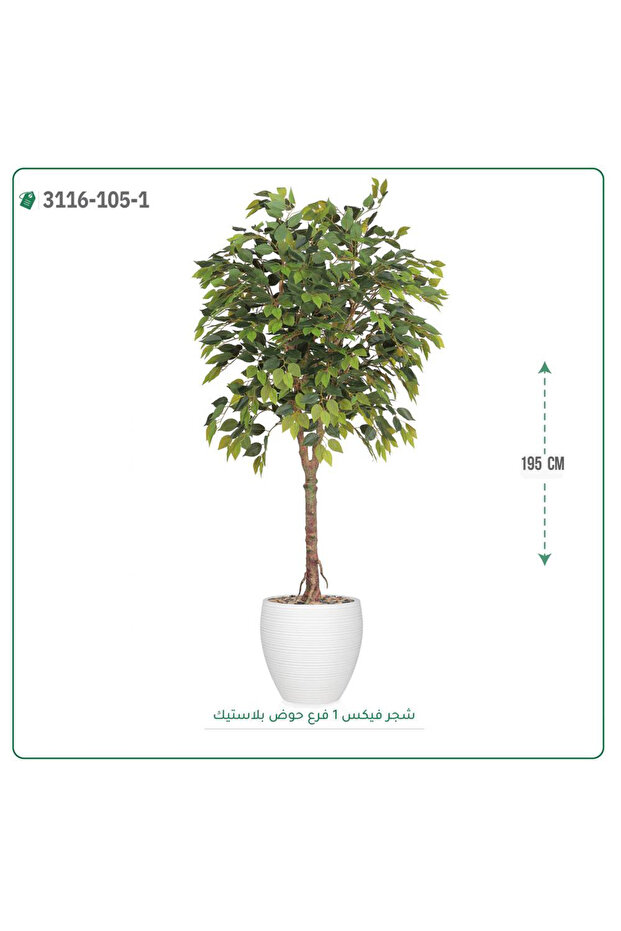 Artificial ficus tree plastic pot { height 195 cm }