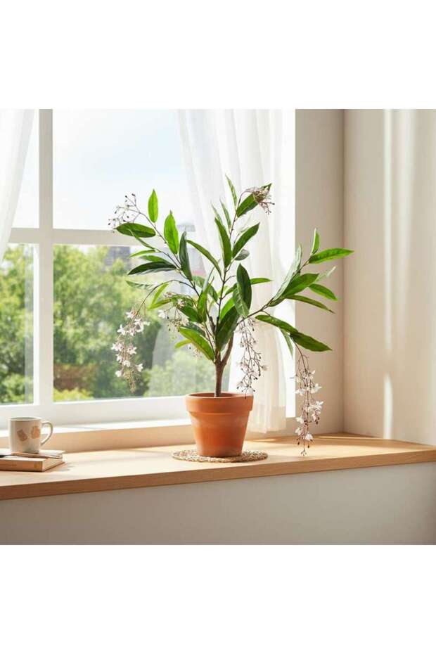 Artificial Bridal Veil Jasmine Plant In Pot H60cm - White