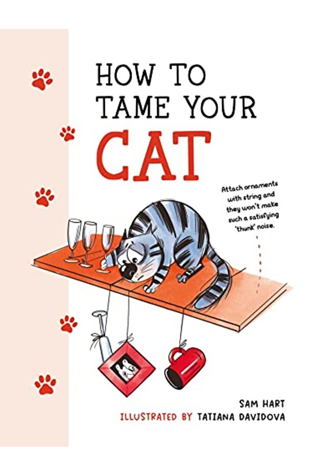How To Tame Your Cat