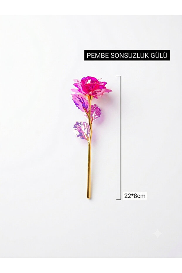 Timeless Elegance Infinity Rose 1 Pc - 2