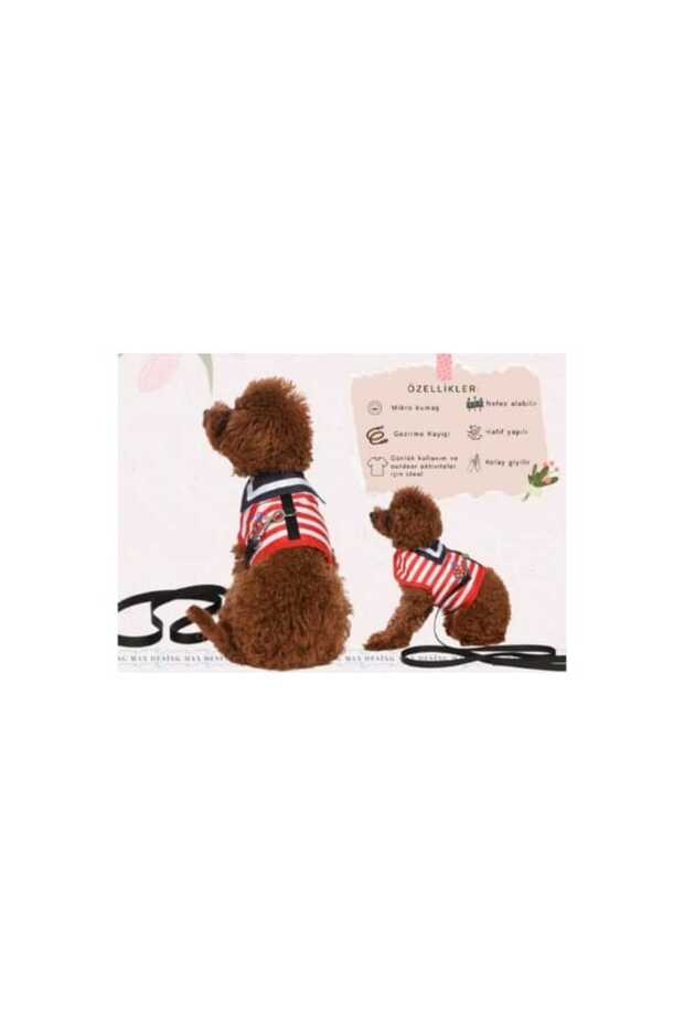 Marina Dog Collar