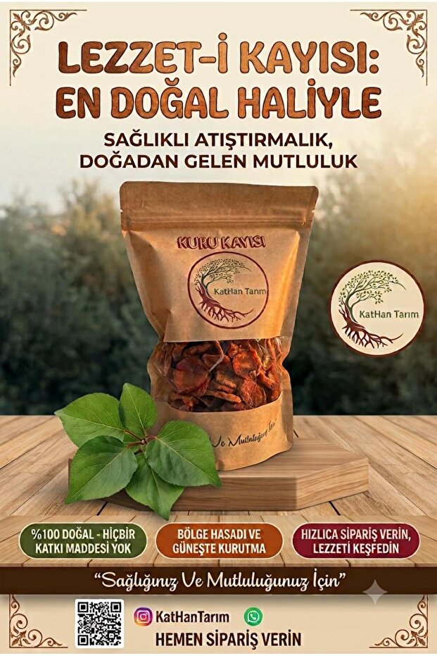 GÜN KURUSU KAYISI