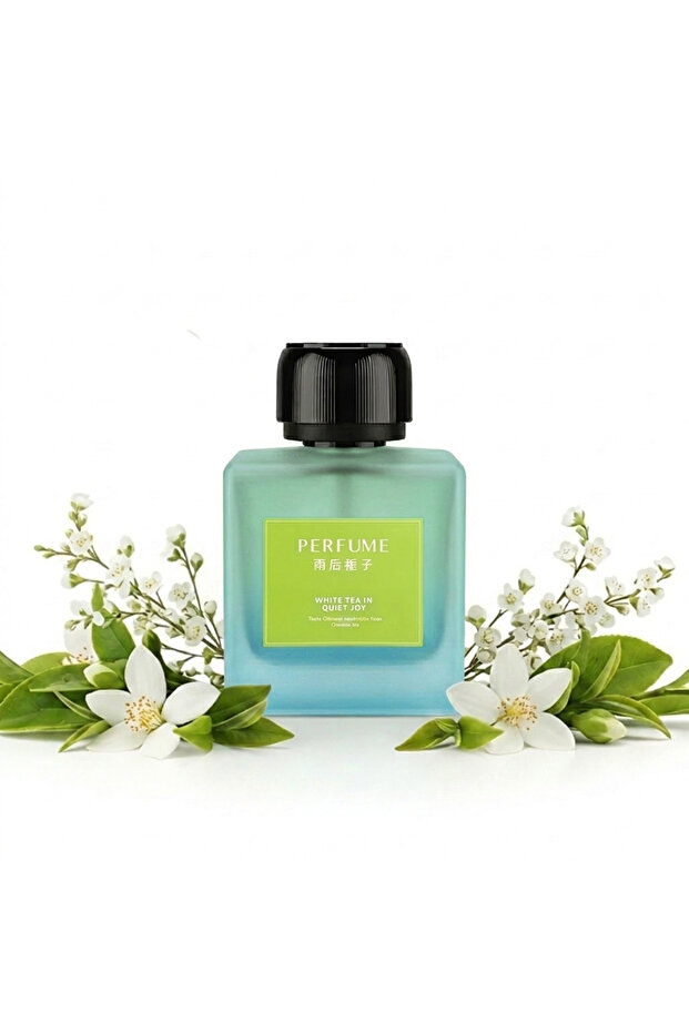 Smart Home Aroma Diffuser with Luxury Fragrance Dispersion and Premium Signature Scents