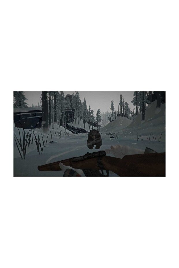 The Long Dark PS4 Oyun - 3