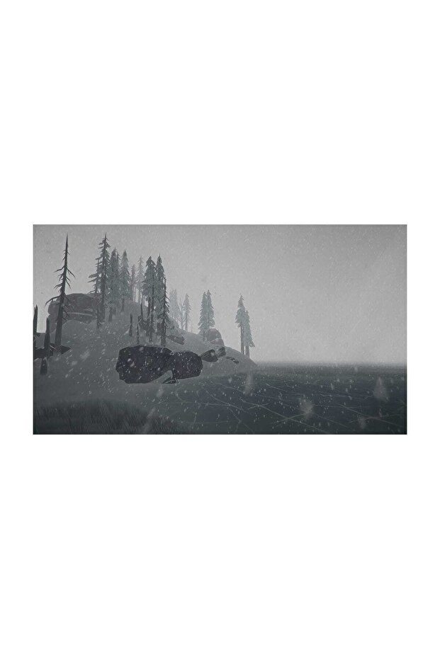 The Long Dark PS4 Oyun - 7