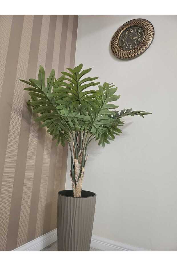 Philodendron 130cm - 2