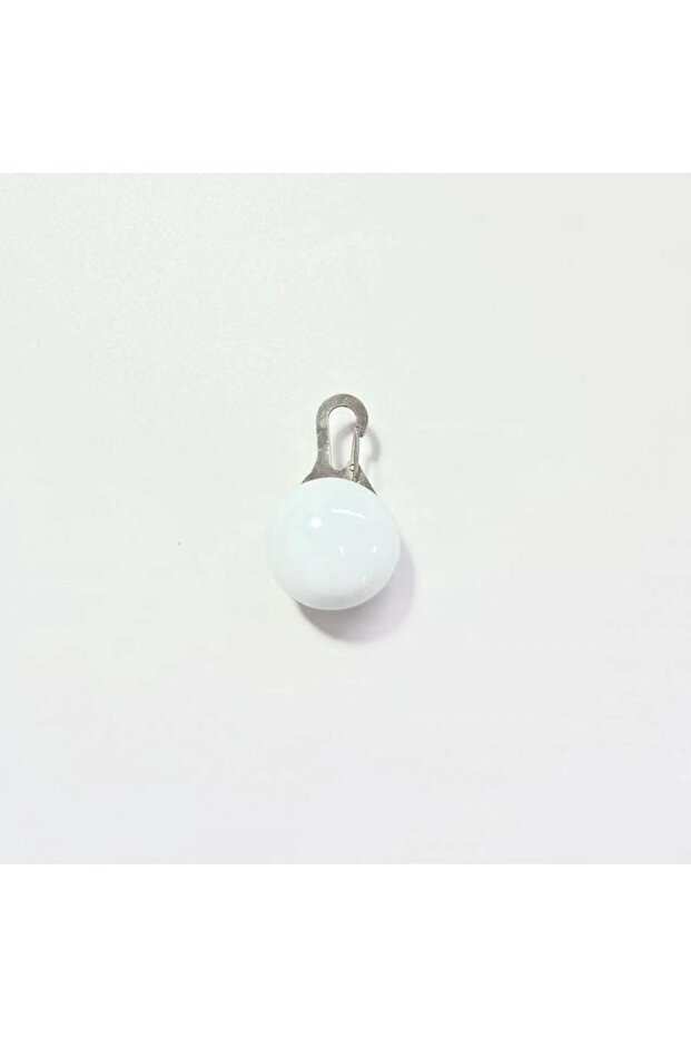 White LED Glow Dog Collar Pendant Light Up Pet Accessories Night Safety Walking for Cat Dog Small Me