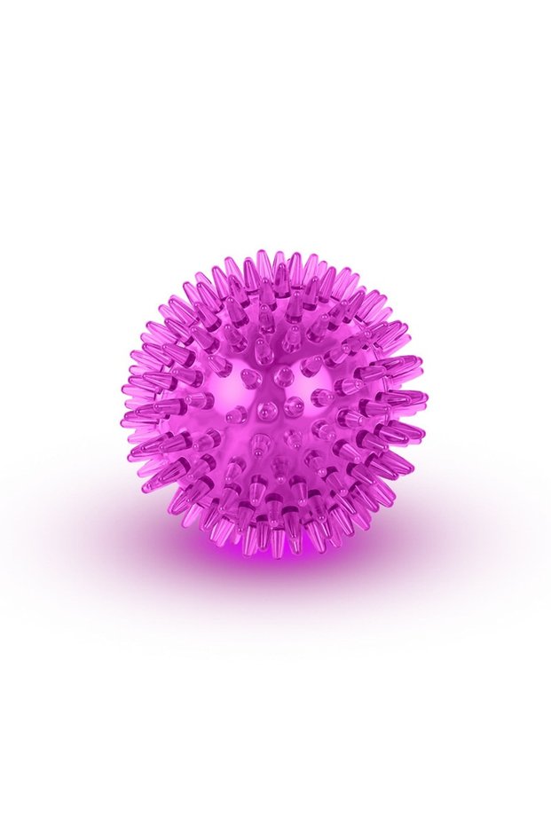 5.5cm Purple Pet Toy Ball for Cats And Dogs - Sounding Tooth Cleaning Chew Ball Training Teeth Acces