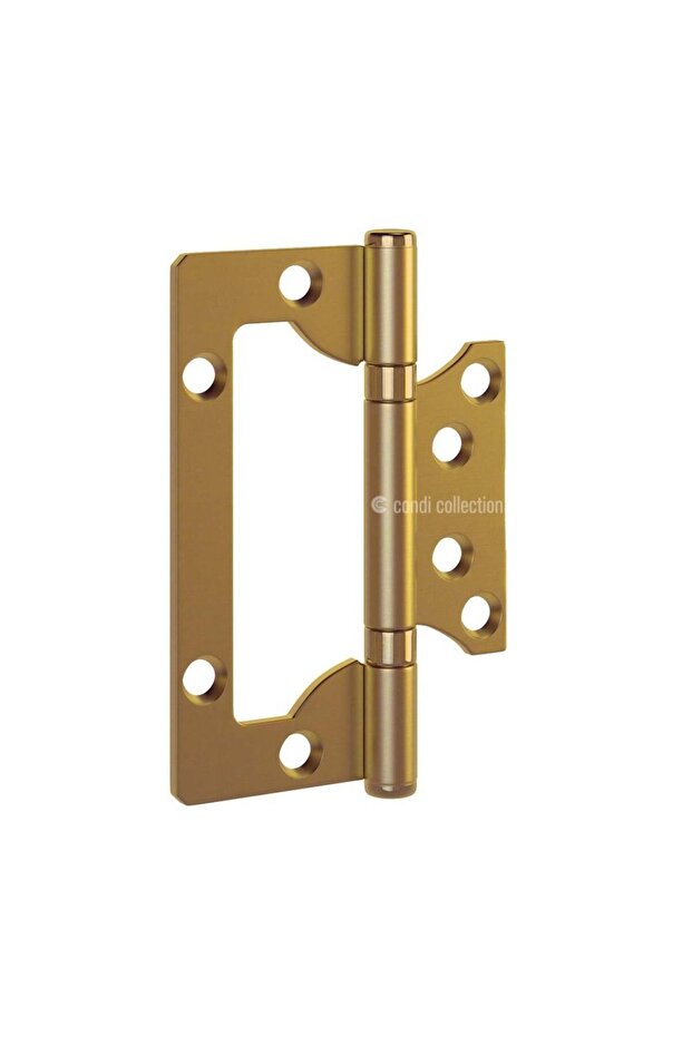 Panel Stainless Hinge Pvd Gold 2.5mm
