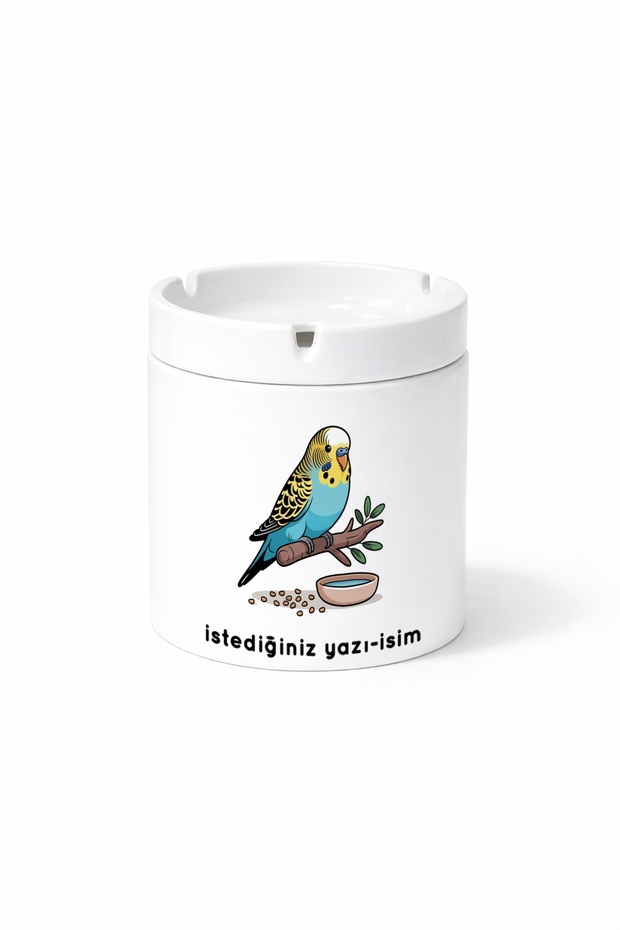 Animal Budgerigar Parakeet Double Sided Printed Porcelain Magic Mug