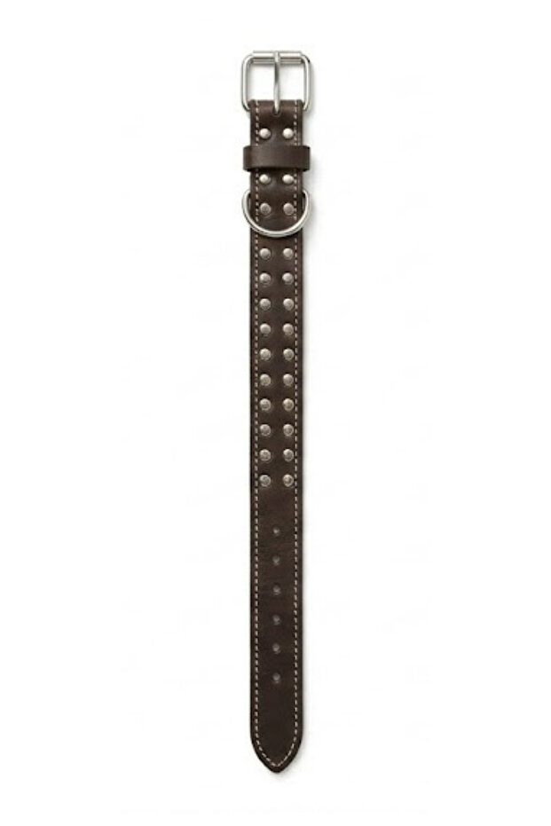 Leather Leash Dark Brown 40 cm