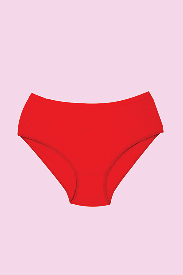 12 Pieces Ribbed High Waist Plus Size Bato Panties 100% Cotton