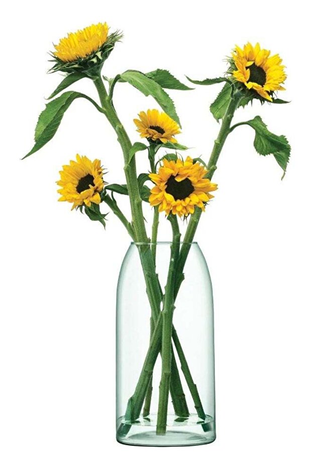Canopy Recycled Glass Vase, 32 cm Height, Clear