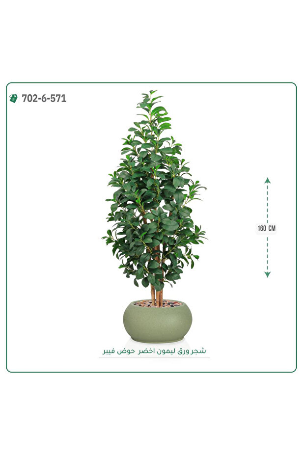 شجر ليمون صناعية حوض فيبر { ارتفاع 160 سم }