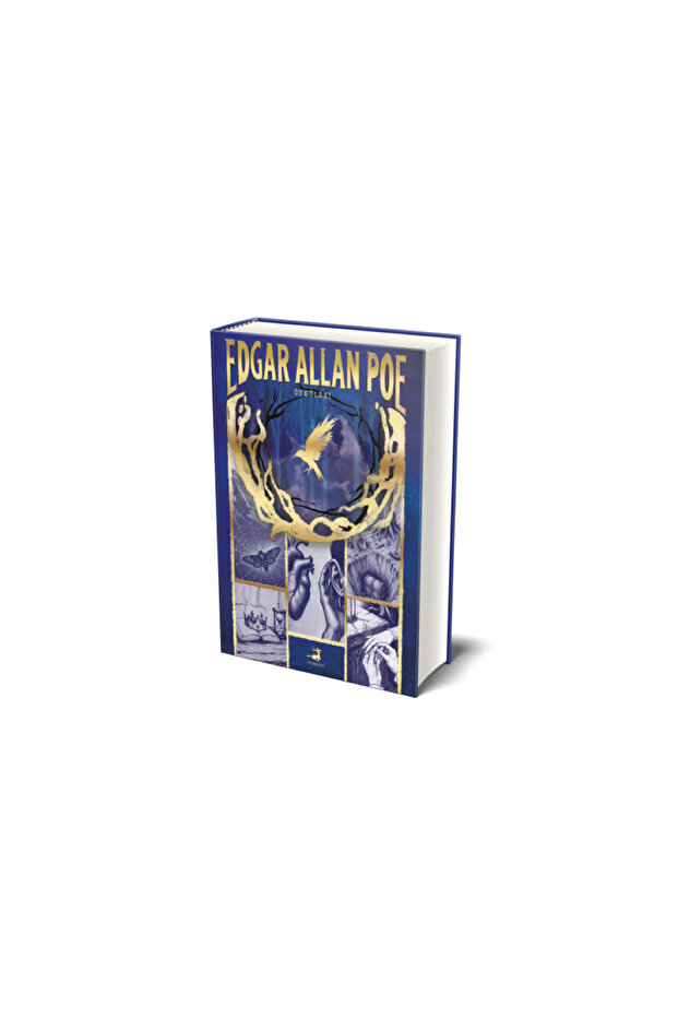 Edgar Allan Poe Stories (Hardcover)
