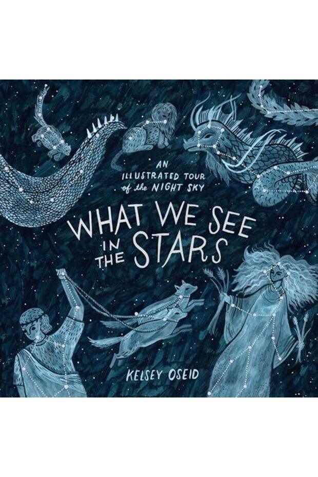 What We See In The Stars An Illustrated Tour Of The Night Sky