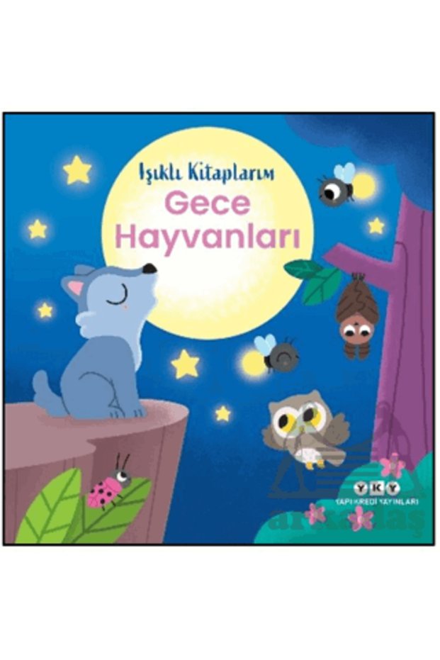 My Illuminated Books: Gece Hayvanları